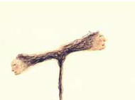 Van-Meeuwen-Drawings-1-2