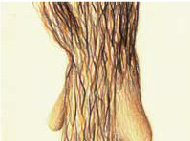 Van-Meeuwen-Drawings-2-1