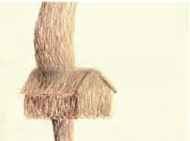 Van-Meeuwen-Drawings-2-3