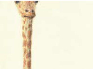 Van-Meeuwen-Drawings-2-4