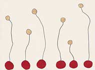 Van-Meeuwen-Drawings-3-1