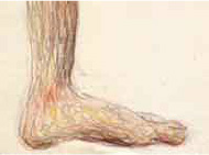 Van-Meeuwen-Drawings-5-1