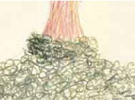 Van-Meeuwen-Drawings-5-5