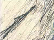 Van-Meeuwen-Drawings-5-6