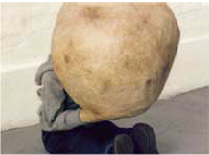 Van-Meeuwen-Sculptures-1-1