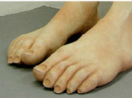 Van-Meeuwen-Sculptures-2-2