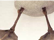 Van-Meeuwen-Sculptures-2-3