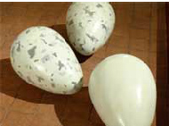 Van-Meeuwen-Sculptures-2-5