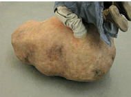 Van-Meeuwen-Sculptures-4-6